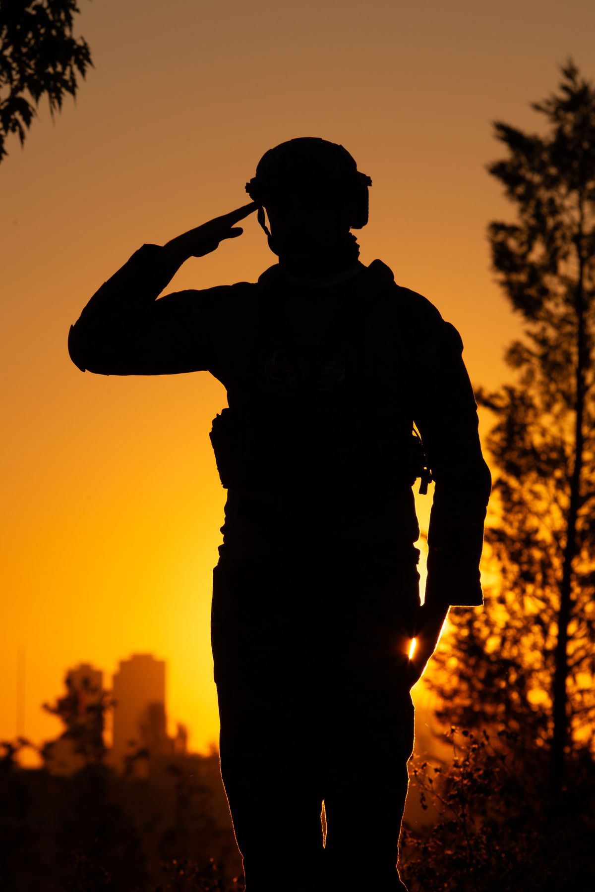 A service member salutes in silhouette against a brilliant golden sunset